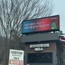 용인자연휴양림 캠핑장 데크14번 - 용말라야에서 쿠디 오로라 첫 피칭후기