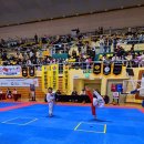 기품있는 태권도장 이미지