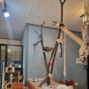 평택5로 | 평택이색데이트 코스로 완벽한 평택합정고양이카페 '삼층고양이카페' 아이와함께 방문후기