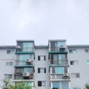 구갈로1 이미지