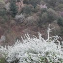 금산펜션 이미지