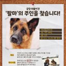 팔마 이미지