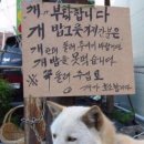 곱도리탕&닭도리탕