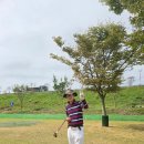 파크골프 이미지