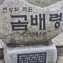 인제주여행사 이미지