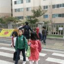 당수초 이미지