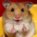 또와마차 이미지