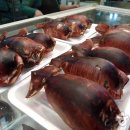 속초관광수산시장(구 속초중앙전통시장) 이미지