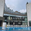 노블레스헤어클럽 | 파라스파라 수영장 라운드풀, 실내수영장 이용후기(풀사이드 바 메뉴 추천)