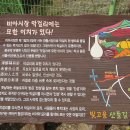 완충녹지13호 이미지