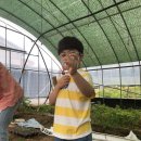 경은농장 이미지