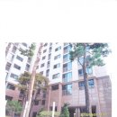 석촌호수로133 이미지