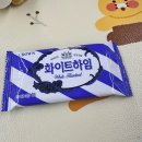 행복삼익세탁 | 2024년 6월 일상 2_ 베짱이는 게으른게 아니었다
