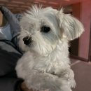 민기주유소 이미지