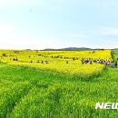 이길수농장 이미지