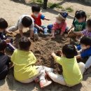 신임마누엘어린이집 이미지