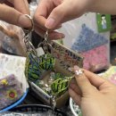 선우태권도 | [2025 상반기 기록] 살아라 그대는..그거다.
