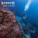 브이워시 | 제주도스쿠버다이빙 브이다이브 체험다이빙 후기