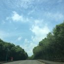 (주)명진조경 | 제주 켄싱턴호텔 수영장&서비스 후기!