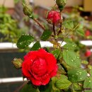 풍경(오월의 이야기 이미지