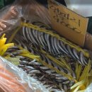 승남고기 | 🌱2026년 1월, 현지의 기록