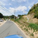 하이마로 이미지