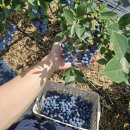 해오름농장-2 이미지