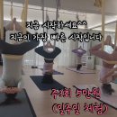 (주)밀레펫(이마트 창원점) | [창원요가 ·창원필라테스 추천] '뉴욕플라잉요가필라테스' 플라잉요가 왕기초반(LOW) 후기