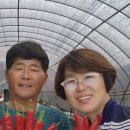 정성농산 이미지