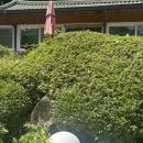 청기와 휴게소