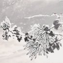 맹*관 네이버블로그