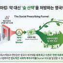 그린커넥션