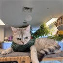 해피주 수원점 이미지