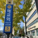고봉민김밥 매교역점 이미지