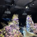 에스 | 인천웨딩홀 추천 부평 단독홀 에스칼라디움 리뉴얼 후기