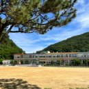 산양초풍화분교 | (통영 산양초 풍화분교) 마이크로파일 완벽시공(마이크로&amp;헬리컬파일시공 NO1) 기탄산업개발 최최고!!!