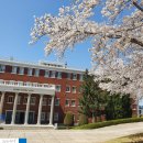 계명대학교 대명캠퍼스 정문 | &lt;대구여행&gt; 대구 벚꽃 명소 추천 &#39;계명대학교 대명동캠퍼스&#39; (with 구내식당)