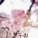 하지백