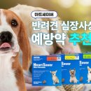 코끼리약국 이미지
