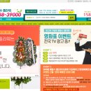 배철수 플라워