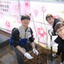 한국 청소년적십자 이미지