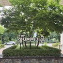대촌동생태작은도서관 | 안양천 생태이야기관 후기｜아이와 가볼 만한 실내 체험, 무료라 더 만족!