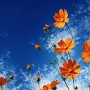 이태리세탁소 이미지