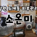 소온미 이미지