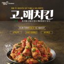 맛딱치킨