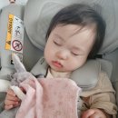 예은농장 | 주말 포천 14개월 아기랑 가볼만한곳 딸기따기 체험 딸기농장 나들이 딸기힐링팜 내돈내산 후기