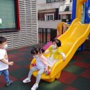 (주)늘빛 Daum카페