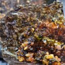 연정이네 이미지