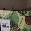 푸드버킷 이미지