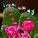 파크장 이미지